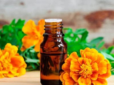 Marigold essential oil