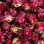 Roselle Tea - Kriti Product & Marketing