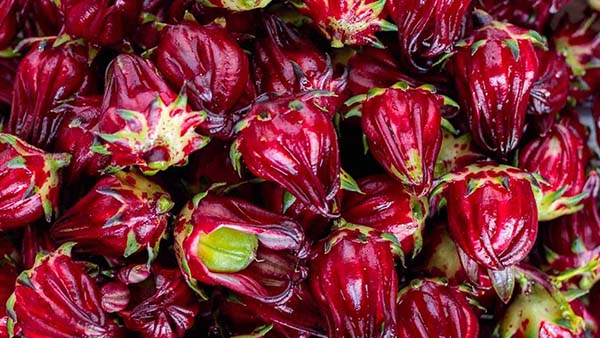 kritiproduct gallery image